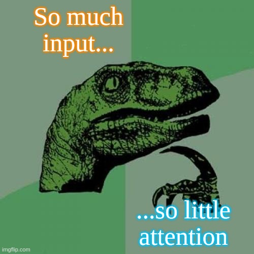 too much | So much input... ...so little attention | image tagged in memes,philosoraptor | made w/ Imgflip meme maker