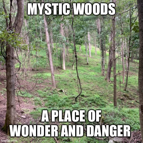 Not only humanoids can be found here |  MYSTIC WOODS; A PLACE OF WONDER AND DANGER | made w/ Imgflip meme maker