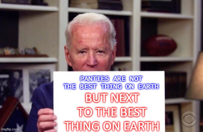 Panties Are Not The Best Thing On Earth... But next to the best thing on earth | PANTIES ARE NOT THE BEST THING ON EARTH; BUT NEXT TO THE BEST THING ON EARTH | image tagged in joe biden sign | made w/ Imgflip meme maker