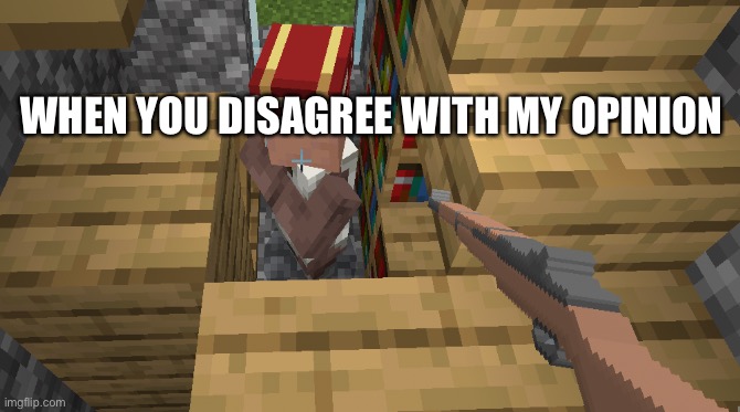 When you disagree with my opinion | WHEN YOU DISAGREE WITH MY OPINION | image tagged in minecraft villagers,dumb people | made w/ Imgflip meme maker