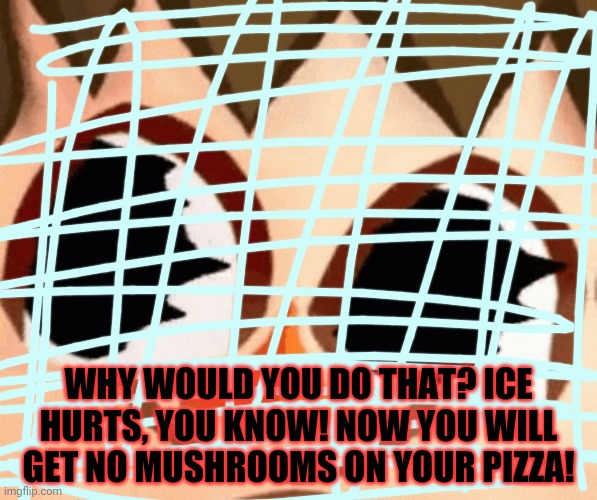 WHY WOULD YOU DO THAT? ICE HURTS, YOU KNOW! NOW YOU WILL GET NO MUSHROOMS ON YOUR PIZZA! | made w/ Imgflip meme maker