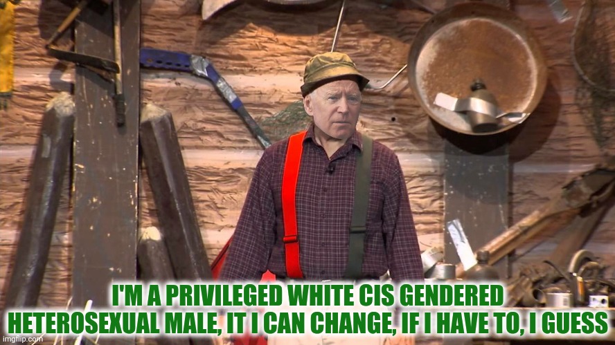 I'M A PRIVILEGED WHITE CIS GENDERED HETEROSEXUAL MALE, IT I CAN CHANGE, IF I HAVE TO, I GUESS | made w/ Imgflip meme maker