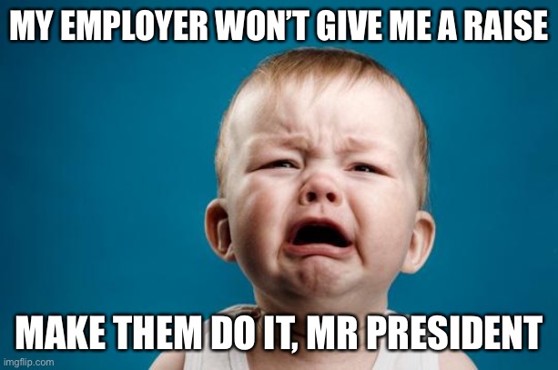 BABY CRYING | MY EMPLOYER WON’T GIVE ME A RAISE MAKE THEM DO IT, MR PRESIDENT | image tagged in baby crying | made w/ Imgflip meme maker