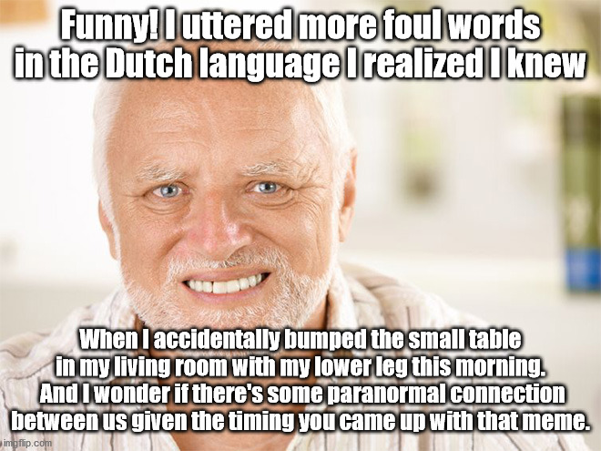 Awkward smiling old man | Funny! I uttered more foul words in the Dutch language I realized I knew When I accidentally bumped the small table in my living room with m | image tagged in awkward smiling old man | made w/ Imgflip meme maker