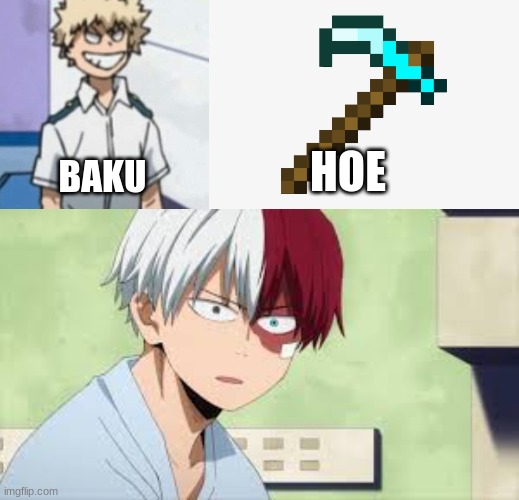 Baku + Hoe | HOE; BAKU | image tagged in todoroki,bakugo,hoe,anime,mha,bnha | made w/ Imgflip meme maker