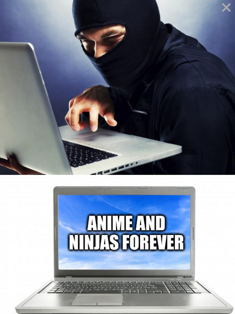 High Quality ninja computer Blank Meme Template