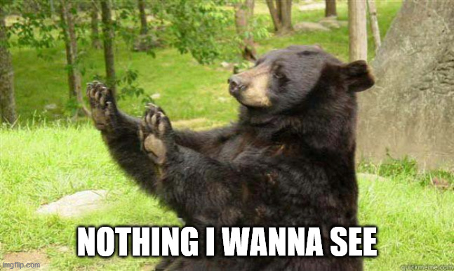 How about no bear | NOTHING I WANNA SEE | image tagged in how about no bear | made w/ Imgflip meme maker