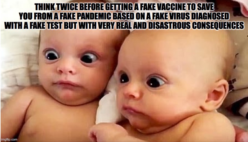 Think twice before getting fake vaccine | THINK TWICE BEFORE GETTING A FAKE VACCINE TO SAVE YOU FROM A FAKE PANDEMIC BASED ON A FAKE VIRUS DIAGNOSED WITH A FAKE TEST BUT WITH VERY REAL AND DISASTROUS CONSEQUENCES | image tagged in fake,vaccine,test,pandemic,covid | made w/ Imgflip meme maker