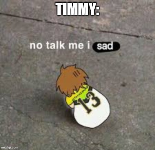 No talk me i sad | TIMMY: | image tagged in no talk me i sad | made w/ Imgflip meme maker