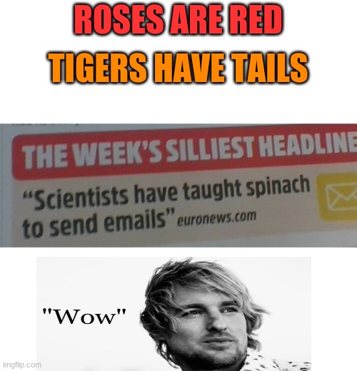 Wow | ROSES ARE RED; TIGERS HAVE TAILS | image tagged in roses are red,memes | made w/ Imgflip meme maker