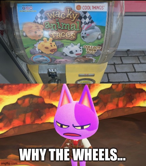 Another animal crossing rip off?! | WHY THE WHEELS... | image tagged in memes,funny,animal crossing,rip off,gaming,animal crossing bob | made w/ Imgflip meme maker