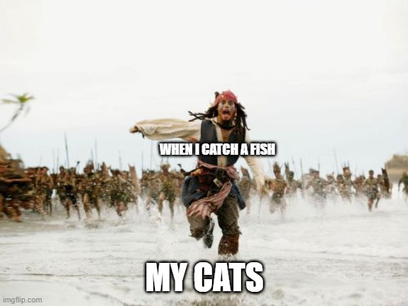 When I catch a fish. | WHEN I CATCH A FISH; MY CATS | image tagged in memes,jack sparrow being chased,cats,cat,funny memes,funny cats | made w/ Imgflip meme maker
