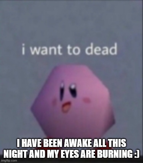 I want to dead/I want to die | I HAVE BEEN AWAKE ALL THIS NIGHT AND MY EYES ARE BURNING :) | image tagged in i want to dead/i want to die | made w/ Imgflip meme maker