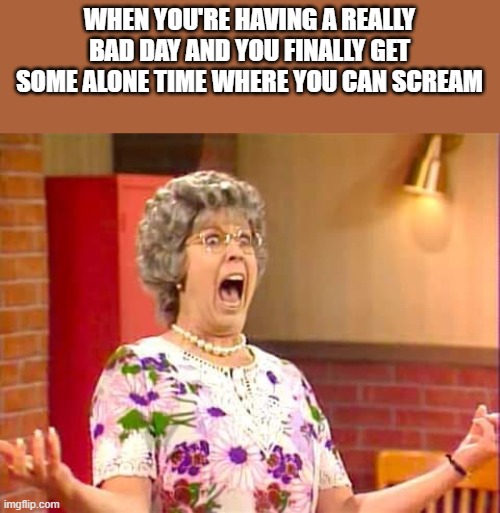 Screaming Because You're Having A Really Bad Day | WHEN YOU'RE HAVING A REALLY BAD DAY AND YOU FINALLY GET SOME ALONE TIME WHERE YOU CAN SCREAM | image tagged in screaming,mama's family,bad day,funny,meme | made w/ Imgflip meme maker