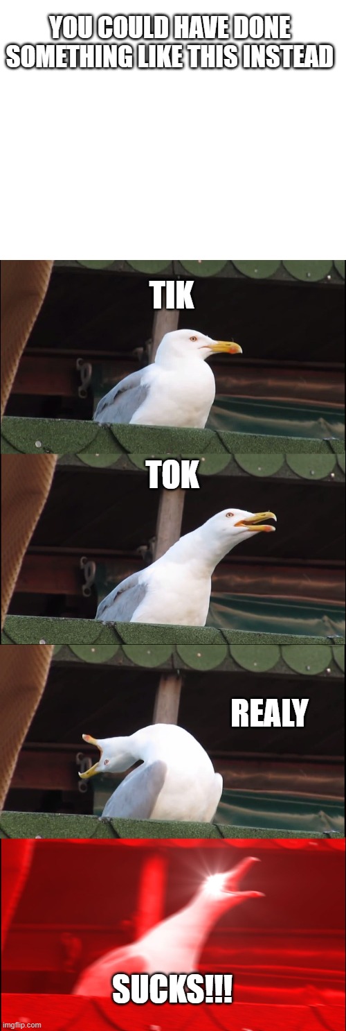 TIK TOK REALY SUCKS!!! YOU COULD HAVE DONE SOMETHING LIKE THIS INSTEAD | image tagged in blank white template,memes,inhaling seagull | made w/ Imgflip meme maker