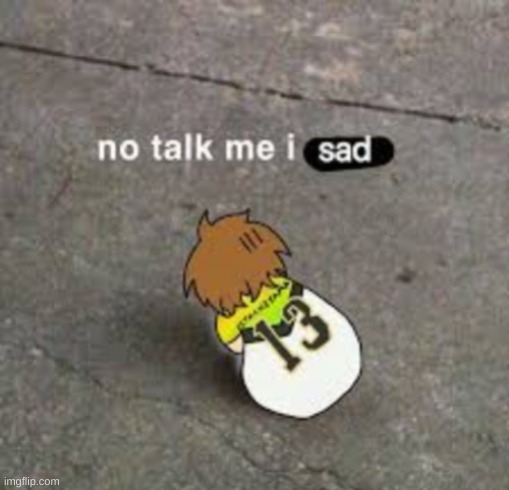 No talk me i sad | image tagged in no talk me i sad | made w/ Imgflip meme maker