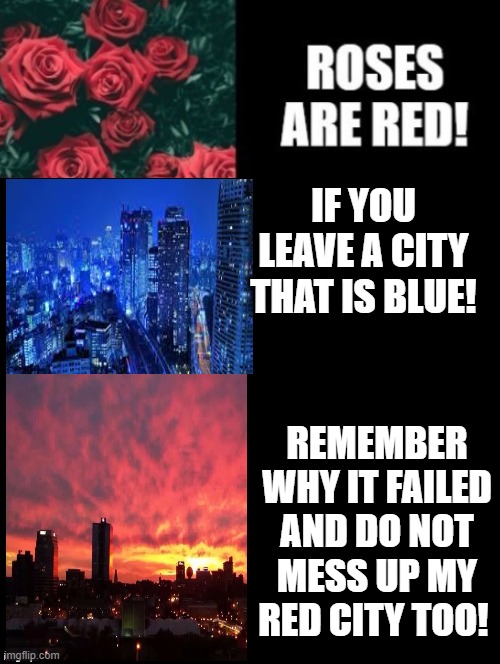 Don't Mess Up My Red City Too!!! | IF YOU LEAVE A CITY THAT IS BLUE! REMEMBER WHY IT FAILED AND DO NOT MESS UP MY RED CITY TOO! | image tagged in stupid liberals,stupid people | made w/ Imgflip meme maker