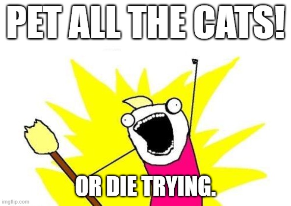 So many cats, so little time | PET ALL THE CATS! OR DIE TRYING. | image tagged in memes,x all the y,cats are awesome,petting | made w/ Imgflip meme maker