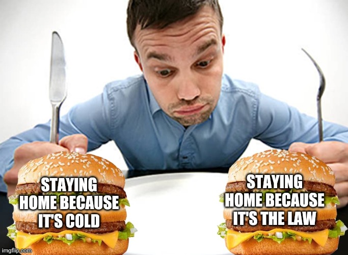 Winter Lockdown Problems | STAYING HOME BECAUSE IT'S COLD; STAYING HOME BECAUSE IT'S THE LAW | image tagged in what is choice | made w/ Imgflip meme maker