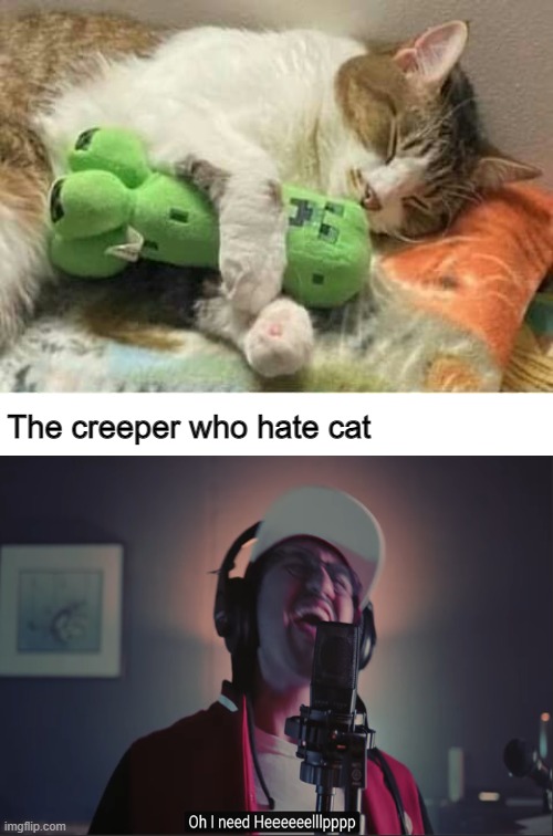 Creeper, Tell me your last word... | The creeper who hate cat | image tagged in white template | made w/ Imgflip meme maker