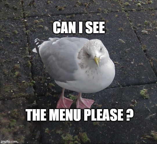 Menu | CAN I SEE; THE MENU PLEASE ? | image tagged in funny | made w/ Imgflip meme maker