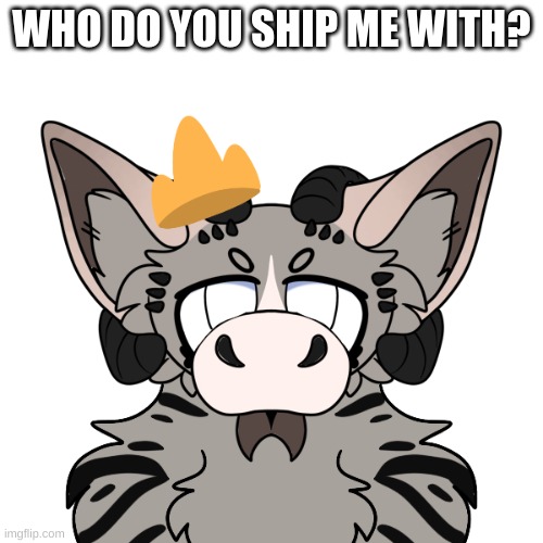 WHO DO YOU SHIP ME WITH? | made w/ Imgflip meme maker