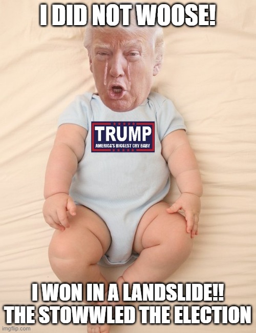 Crying Trump Baby | I DID NOT WOOSE! I WON IN A LANDSLIDE!! THE STOWWLED THE ELECTION | image tagged in crying trump baby | made w/ Imgflip meme maker