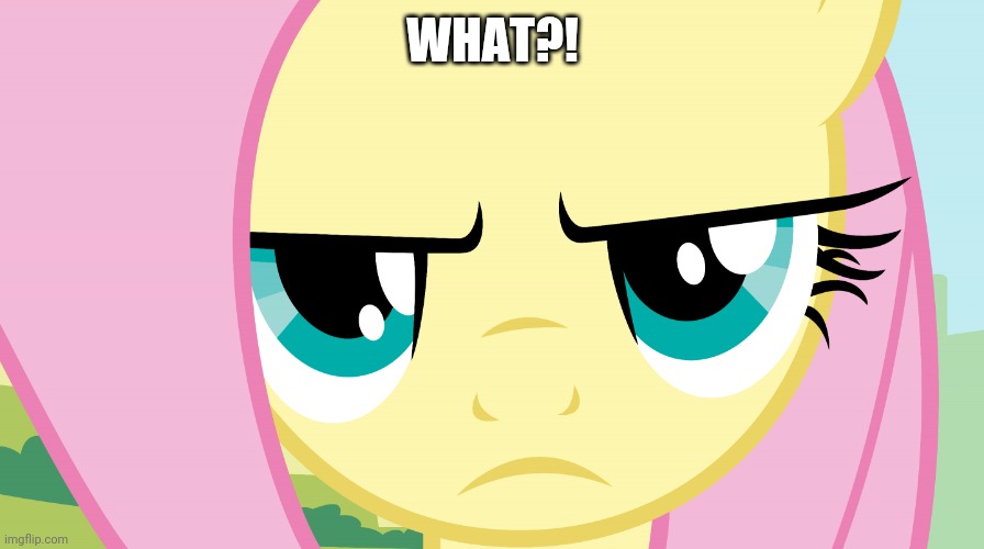 Fluttershy Not Amused (MLP) | WHAT?! | image tagged in fluttershy not amused mlp | made w/ Imgflip meme maker