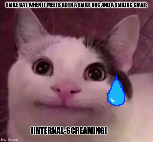 Awkward Smile Cat | SMILE CAT WHEN IT MEETS BOTH A SMILE DOG AND A SMILING GIANT:; [INTERNAL-SCREAMING] | image tagged in memes,smiling cat,animal attack | made w/ Imgflip meme maker