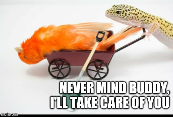NEVER MIND BUDDY, I'LL TAKE CARE OF YOU | image tagged in sad news | made w/ Imgflip meme maker