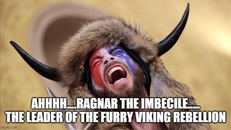 yep | AHHHH....RAGNAR THE IMBECILE..... THE LEADER OF THE FURRY VIKING REBELLION | image tagged in qanon shaman | made w/ Imgflip meme maker