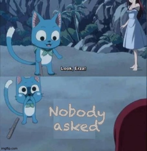 Fairy Tail nobody asked (link in comments) | image tagged in fairy tail nobody asked | made w/ Imgflip meme maker
