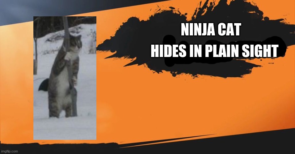 Smash Bros. | NINJA CAT HIDES IN PLAIN SIGHT | image tagged in smash bros | made w/ Imgflip meme maker