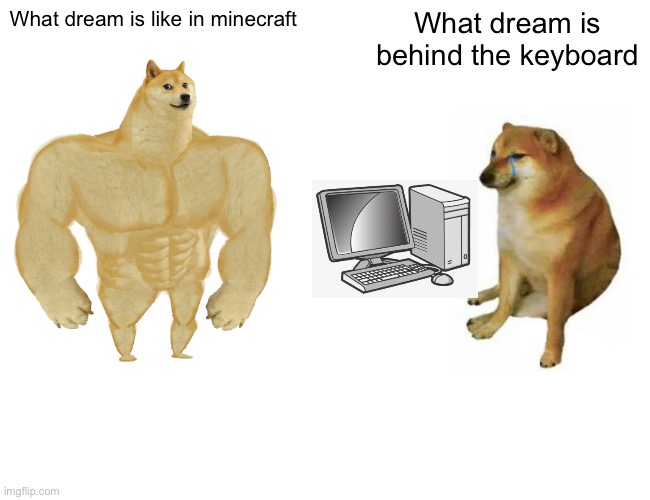 The truth.... | What dream is like in minecraft; What dream is behind the keyboard | image tagged in memes,buff doge vs cheems | made w/ Imgflip meme maker