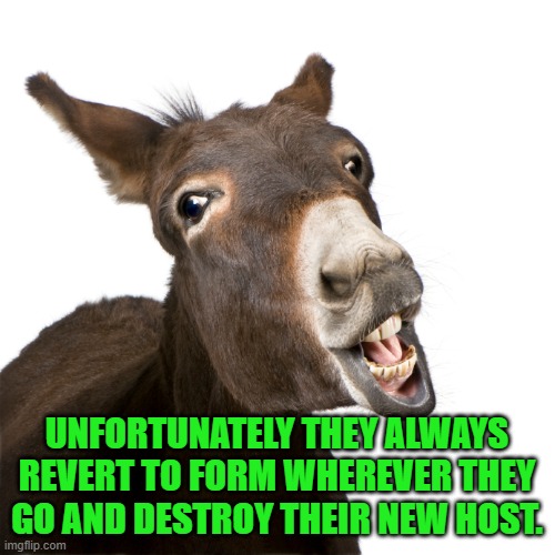 UNFORTUNATELY THEY ALWAYS REVERT TO FORM WHEREVER THEY GO AND DESTROY THEIR NEW HOST. | made w/ Imgflip meme maker
