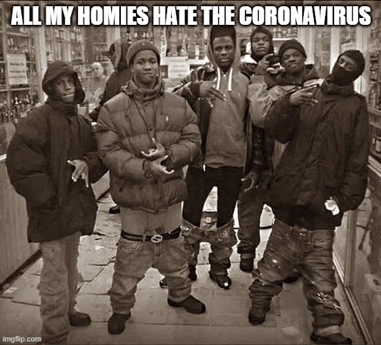 free epic fruit cake | ALL MY HOMIES HATE THE CORONAVIRUS | image tagged in all my homies hate | made w/ Imgflip meme maker