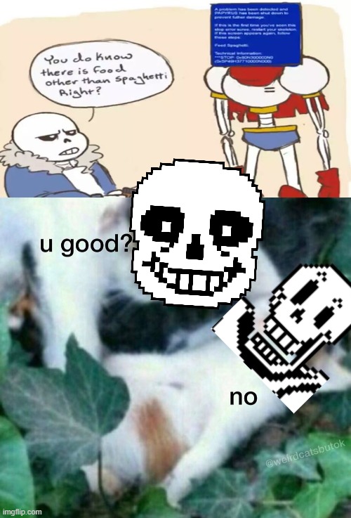 Papyrus finds the world | image tagged in u good no,papyrus,sans,undertale,system,error | made w/ Imgflip meme maker