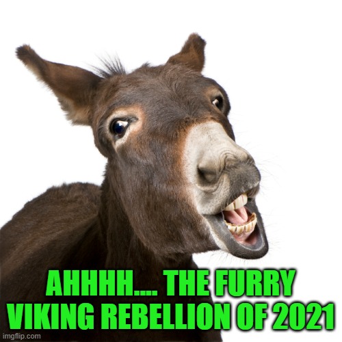 AHHHH.... THE FURRY VIKING REBELLION OF 2021 | made w/ Imgflip meme maker