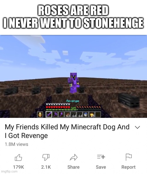 everybody gangsta until a million withers come out of nowhere | ROSES ARE RED
I NEVER WENT TO STONEHENGE | image tagged in memes,funny,minecraft,poetry,youtube | made w/ Imgflip meme maker