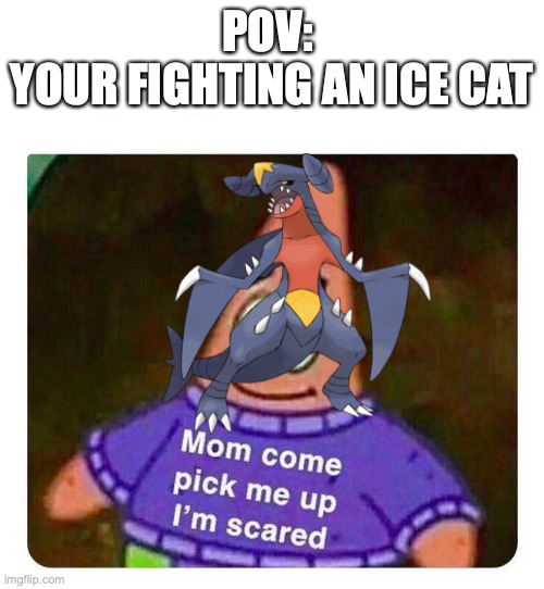 Patrick Mom come pick me up I'm scared | POV: 
YOUR FIGHTING AN ICE CAT | image tagged in patrick mom come pick me up i'm scared | made w/ Imgflip meme maker