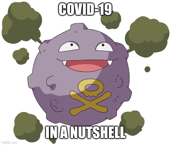  COVID-19; IN A NUTSHELL | image tagged in koffee | made w/ Imgflip meme maker