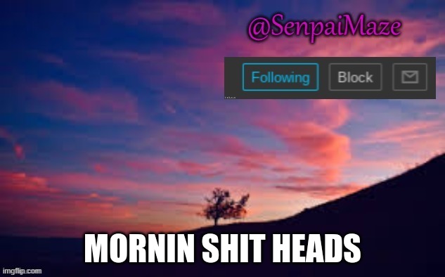 sunset | MORNIN SHIT HEADS | image tagged in sunset | made w/ Imgflip meme maker