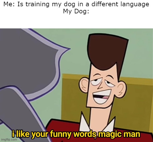 I like your funny words magic man | Me: Is training my dog in a different language
My Dog: | image tagged in i like your funny words magic man | made w/ Imgflip meme maker