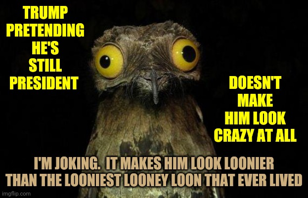 Coo Coo For Looney Toons | TRUMP PRETENDING HE'S STILL PRESIDENT; DOESN'T MAKE HIM LOOK CRAZY AT ALL; I'M JOKING.  IT MAKES HIM LOOK LOONIER THAN THE LOONIEST LOONEY LOON THAT EVER LIVED | image tagged in memes,weird stuff i do potoo,trump lies,trump is crazy,trump is mentally unstable,lock him up | made w/ Imgflip meme maker