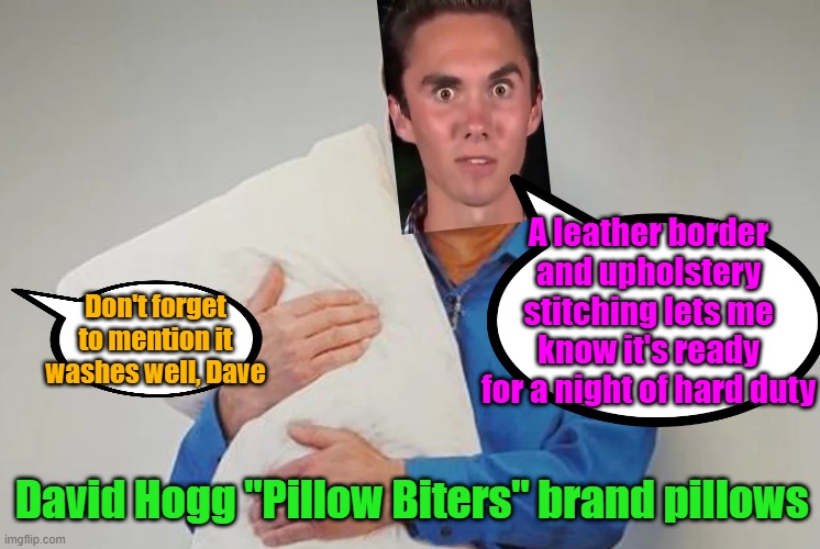 America, land of opportunity | A leather border and upholstery stitching lets me know it's ready for a night of hard duty; Don't forget to mention it washes well, Dave; David Hogg "Pillow Biters" brand pillows | image tagged in david hogg,products,funny memes,leftists | made w/ Imgflip meme maker