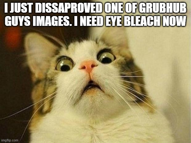 Scared Cat | I JUST DISSAPROVED ONE OF GRUBHUB GUYS IMAGES. I NEED EYE BLEACH NOW | image tagged in memes,scared cat | made w/ Imgflip meme maker