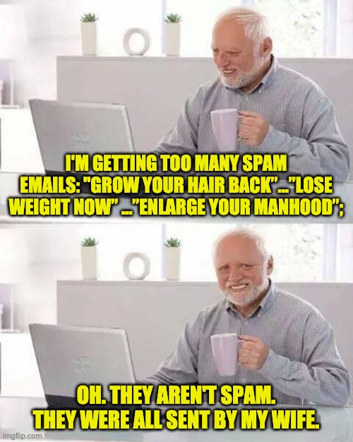 SPAM | I'M GETTING TOO MANY SPAM EMAILS: "GROW YOUR HAIR BACK”…”LOSE WEIGHT NOW” …”ENLARGE YOUR MANHOOD”;; OH. THEY AREN'T SPAM. THEY WERE ALL SENT BY MY WIFE. | image tagged in memes,hide the pain harold | made w/ Imgflip meme maker