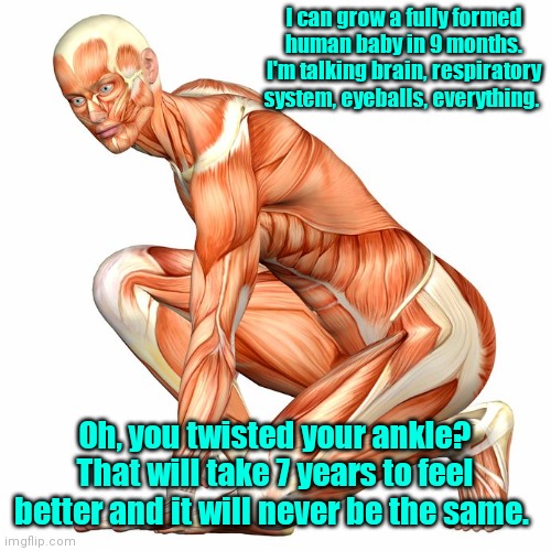 Works right when it wants to. | I can grow a fully formed human baby in 9 months. I'm talking brain, respiratory system, eyeballs, everything. Oh, you twisted your ankle? That will take 7 years to feel better and it will never be the same. | image tagged in human body,funny | made w/ Imgflip meme maker