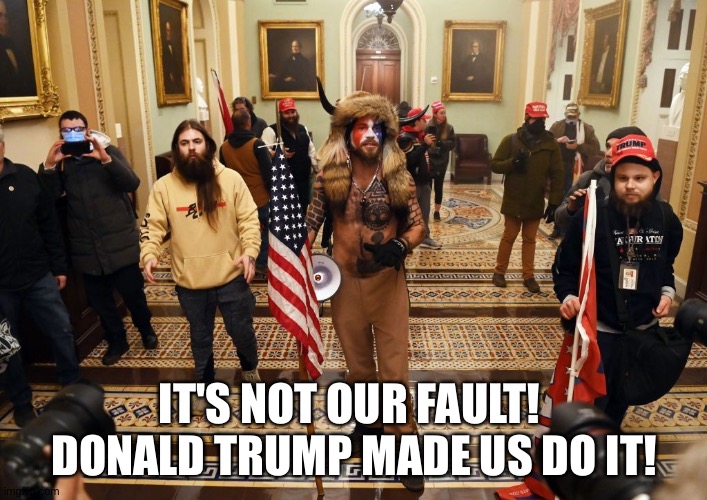 Capitol Buffalo guy | IT'S NOT OUR FAULT!  DONALD TRUMP MADE US DO IT! | image tagged in capitol buffalo guy | made w/ Imgflip meme maker