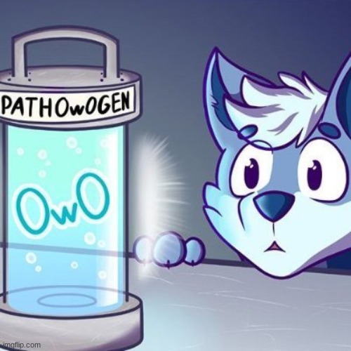 image tagged in furry,owo | made w/ Imgflip meme maker